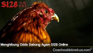 Menghitung Odds Sabung Ayam S128 Online